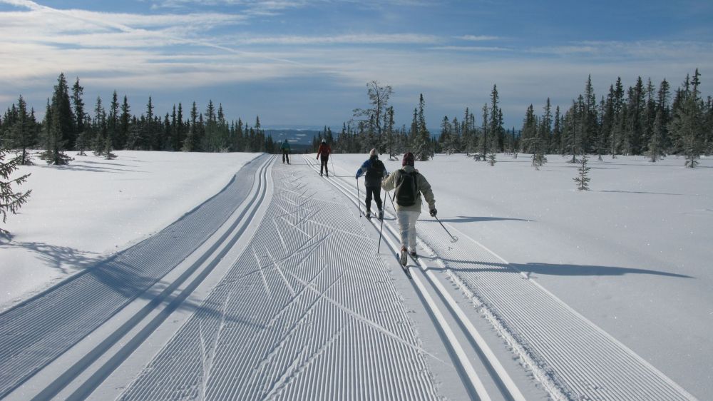 Image Sjusjoen, ski sur les traces des champions