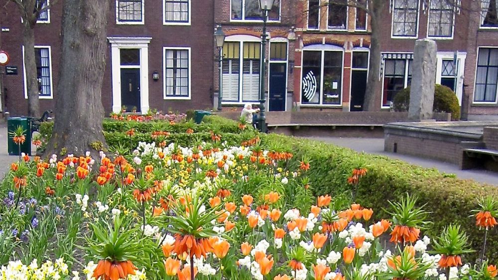 Image Les Pays-Bas en fleurs, un séjour spécial tulipes