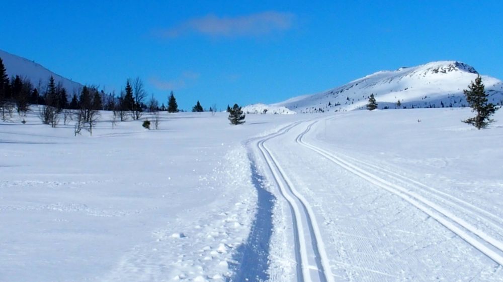 Image Séjour ski de fond à Venabu