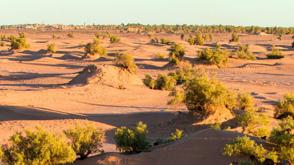 Image Dunes et Oasis du sud marocain