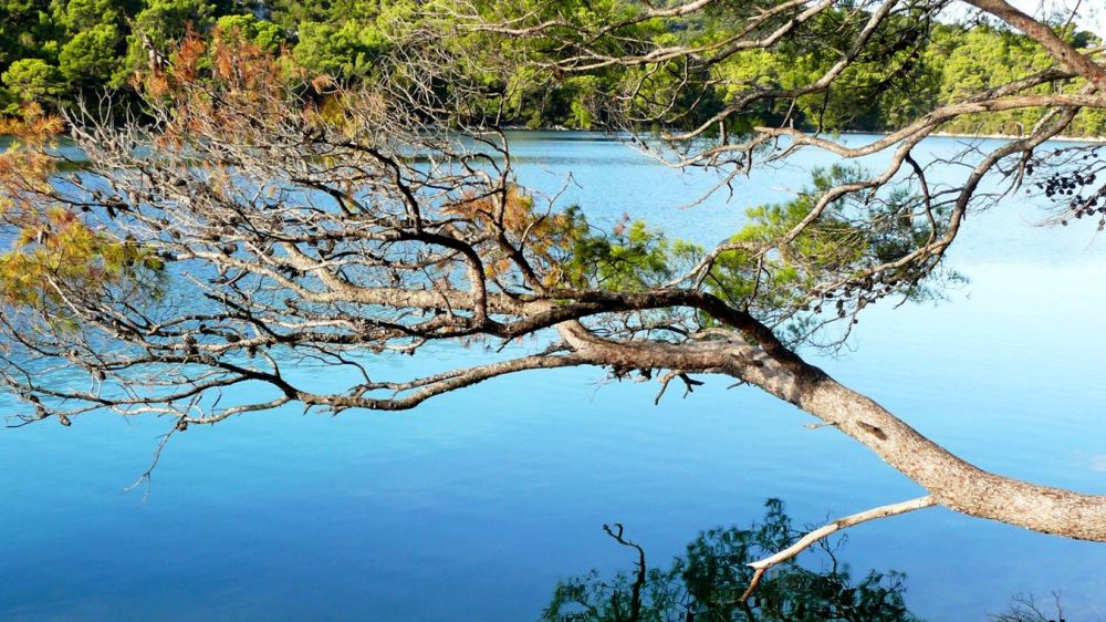 Image Randonnée et Croisière : les îles de Dalmatie au fil de l'eau