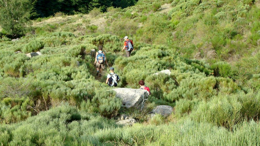 Image Parc naturel des Monts d'Ardèche, Retrouvance®