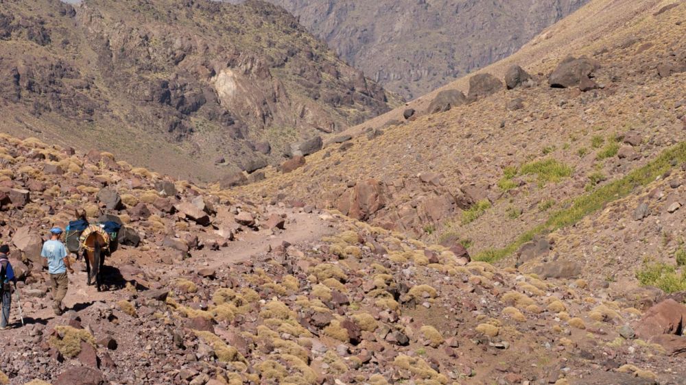 Image Ascension du Toubkal et randonnée au Maroc