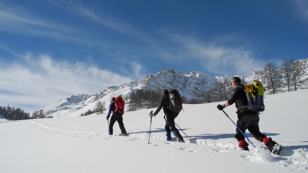Image Initiation au ski de randonnée nordique dans le Queyras