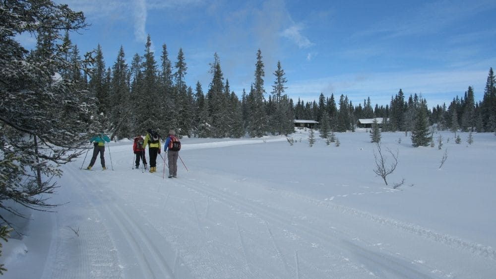 Image Sjusjoen, ski sur les traces des champions