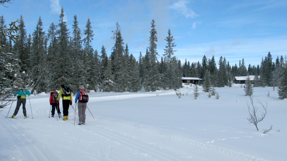 Image Séjour ski de fond à Sjusjøen