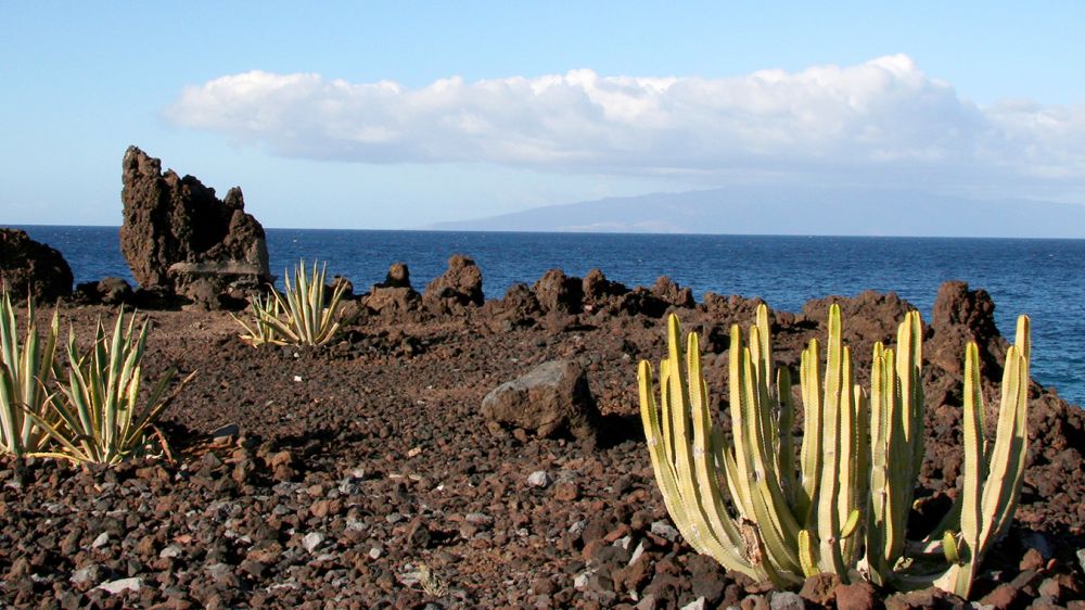 Image Îles Canaries : Tenerife
