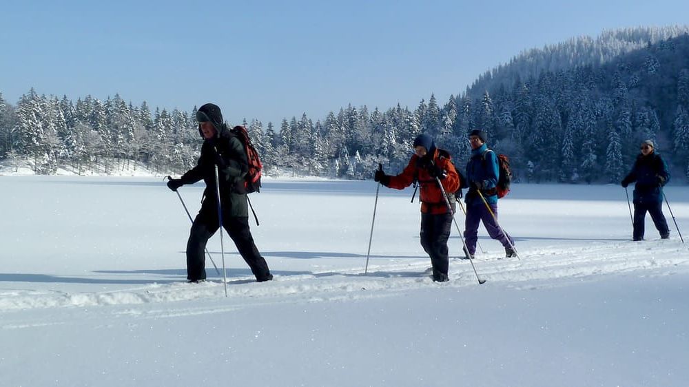 Image Traversée de la Haute Forêt-Noire à ski de fond