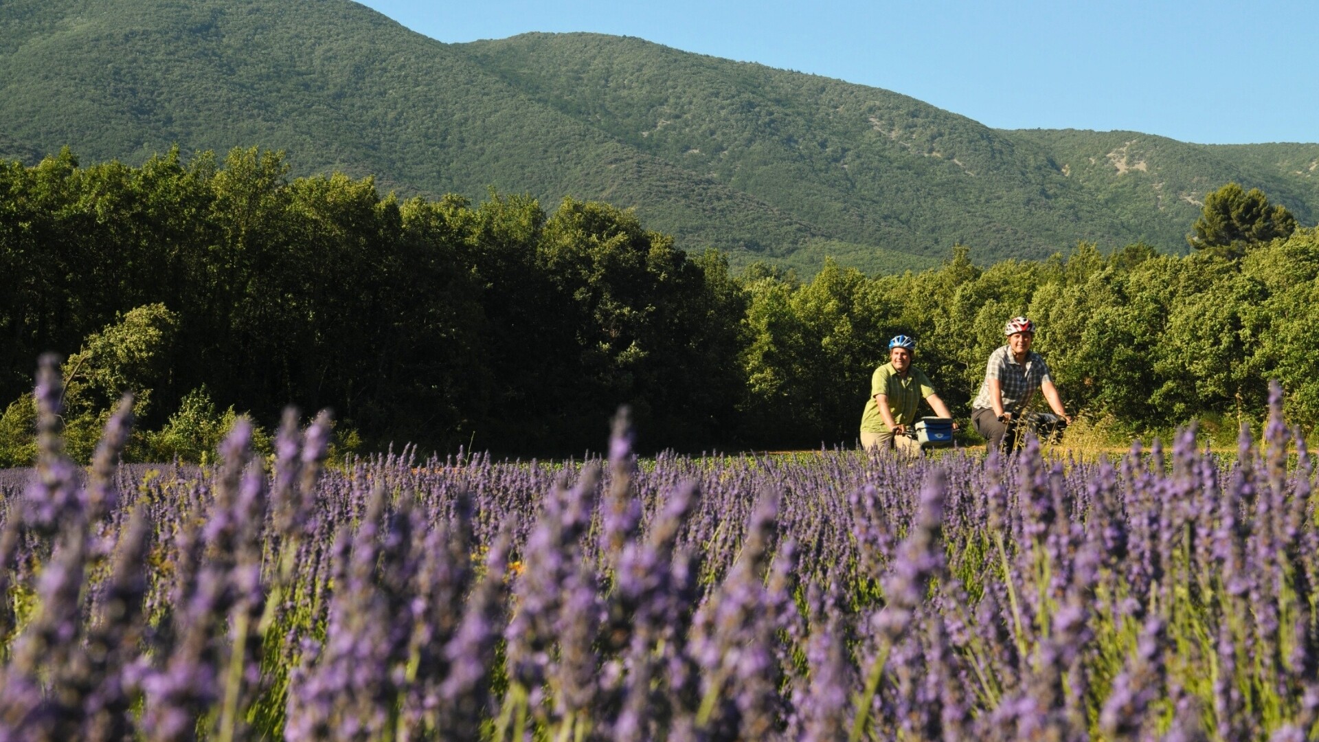 Luberon à vélo