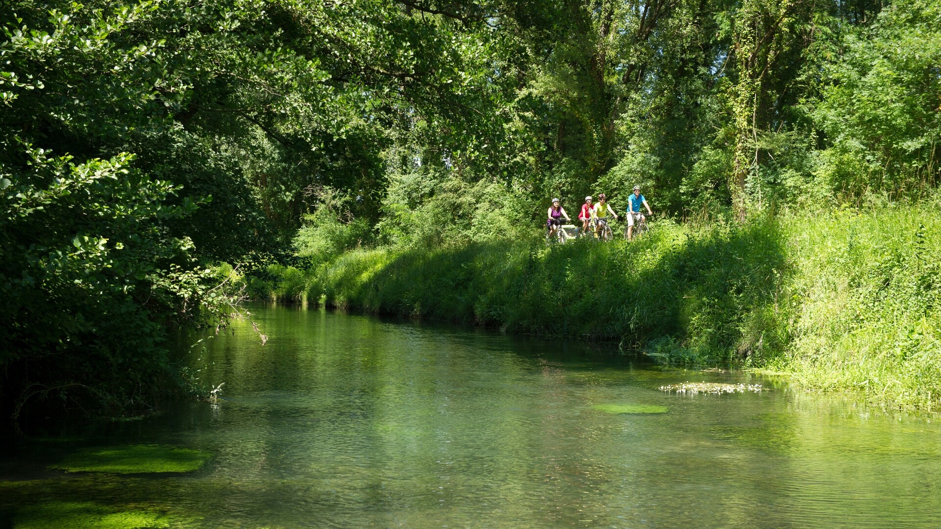 ViaRhôna de Condrieu à Avignon