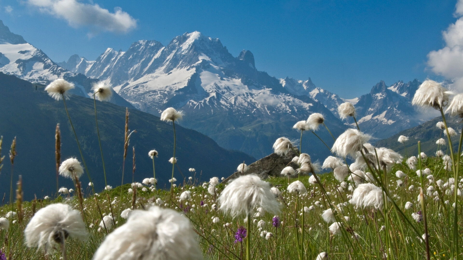 Tour du Mont Blanc intégral - 9 jours
