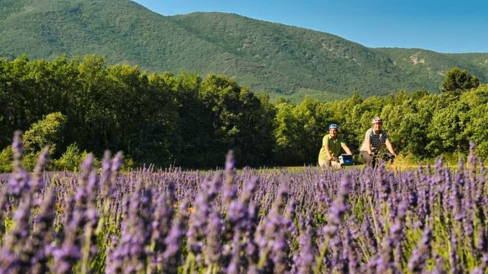 Tour du Luberon a velo liberte Grand Angle