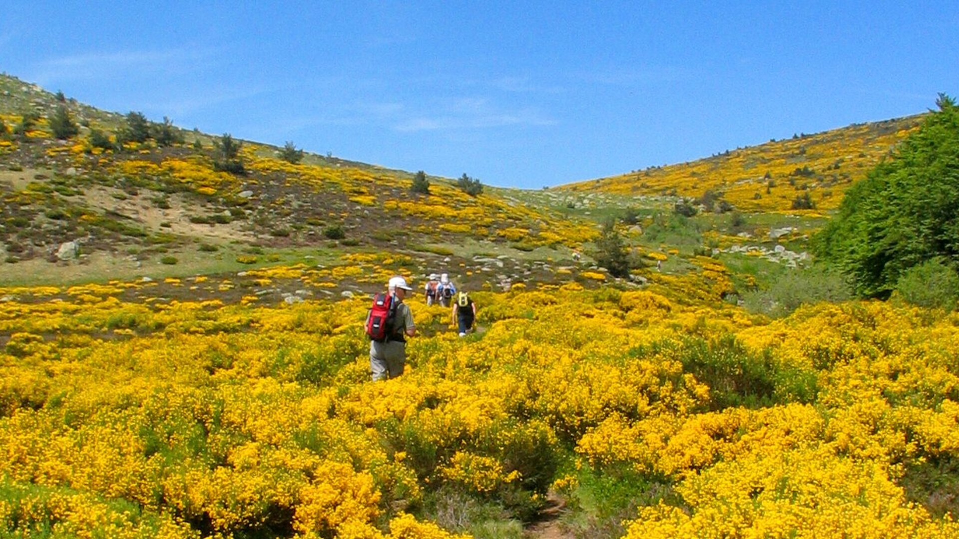Rando et balnéo dans les Cévennes