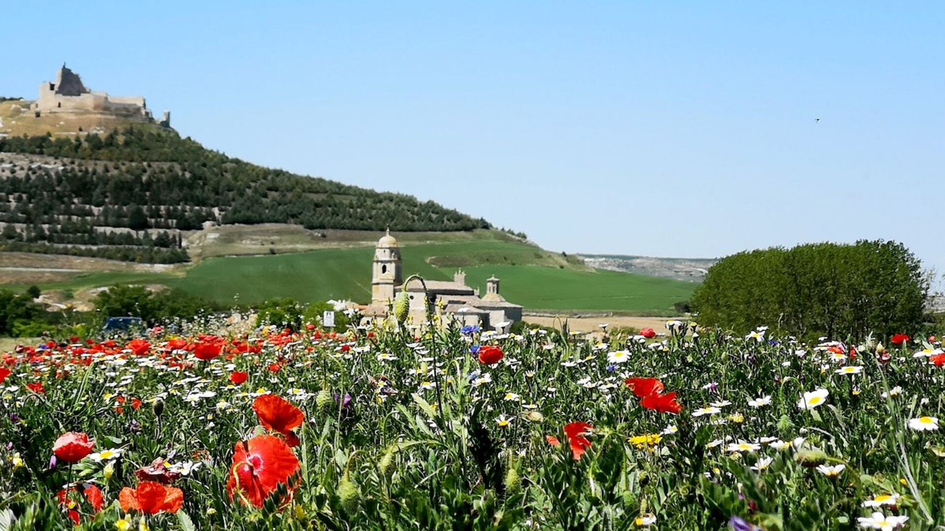 Trek - Chemin de St Jacques - Camino Frances De Burgos a Leon