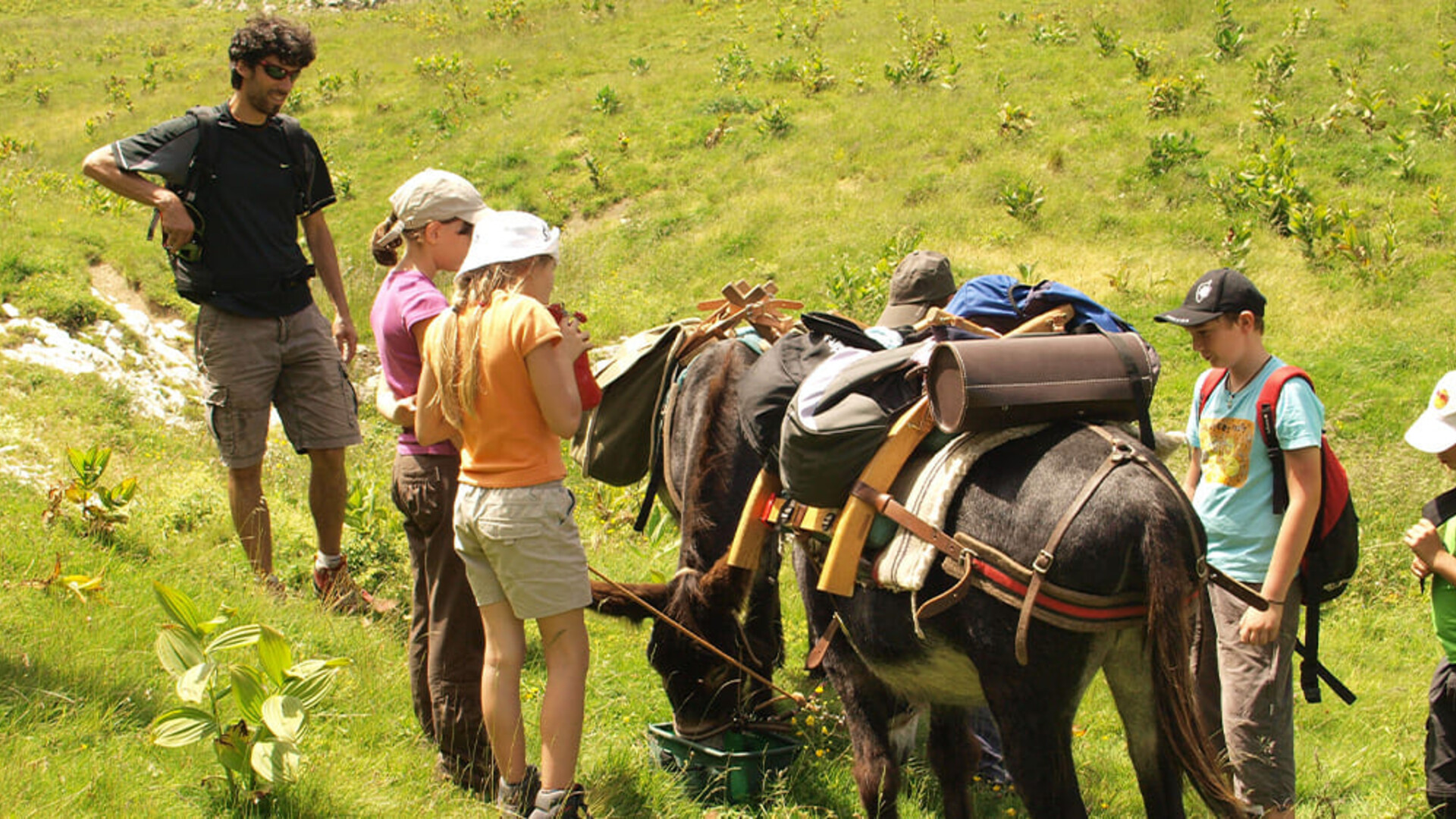 Voyage avec ânes - La Chartreuse en famille avec un âne