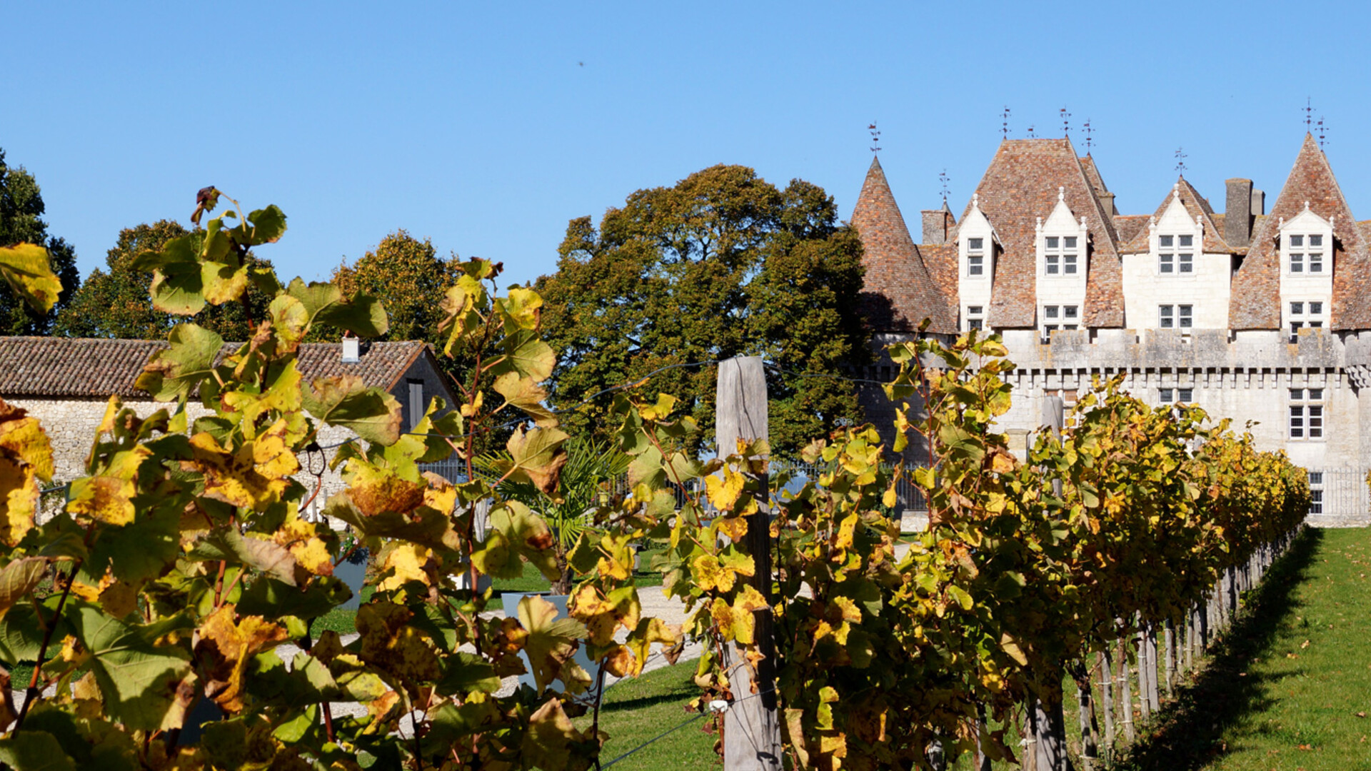 Château et vignes de Monbazillac dans le Périgord