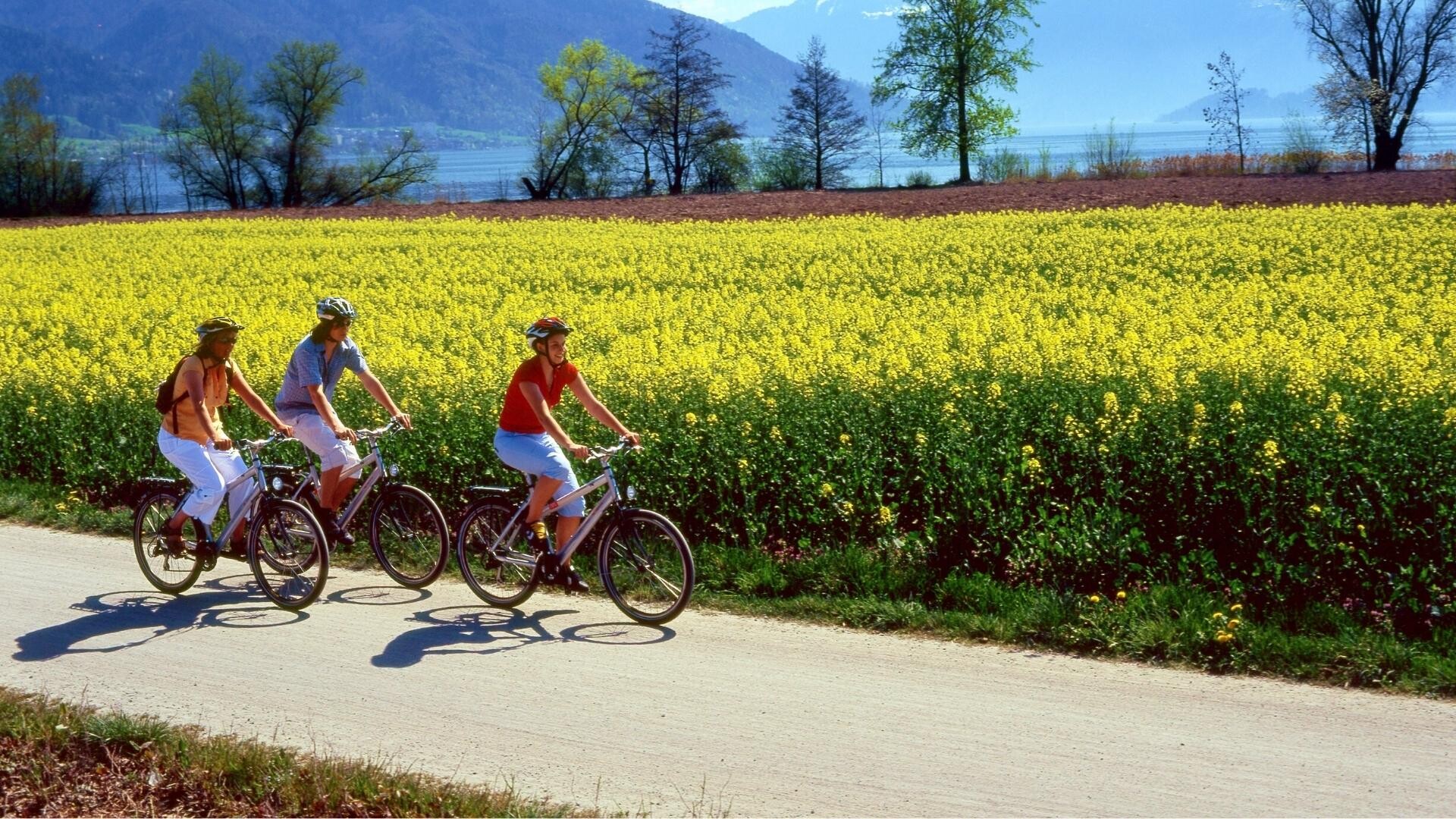Tour des lacs suisse en vélo top