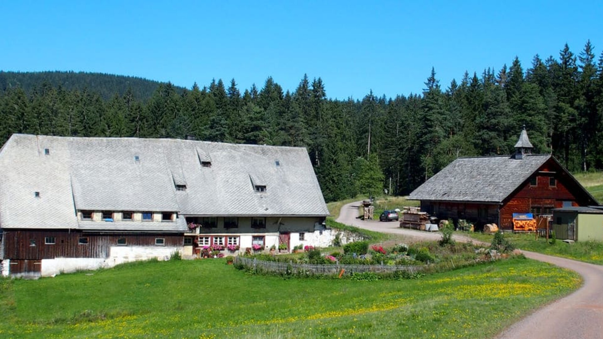 Randonnée en Forêt Noire