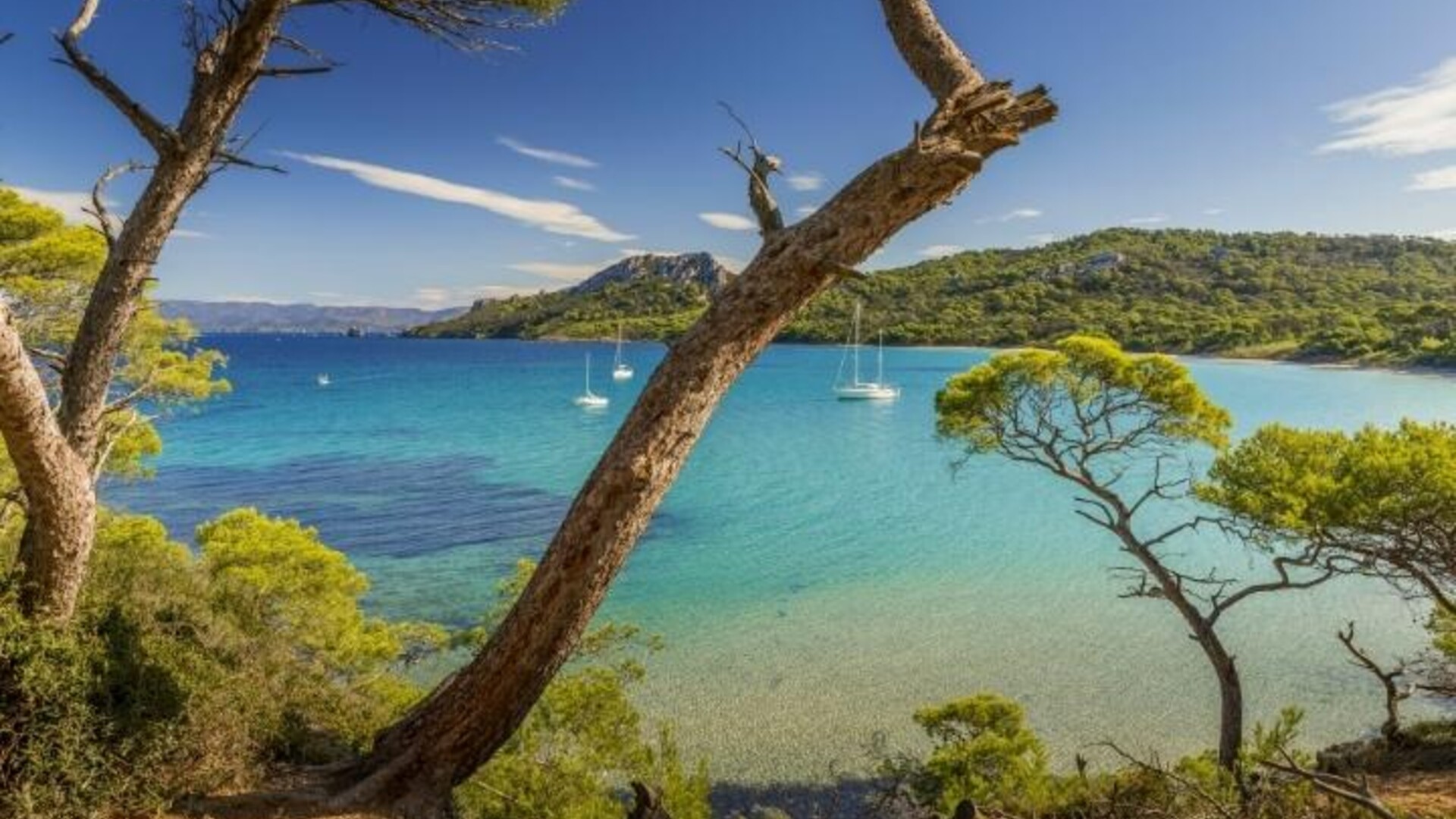 Les Iles d’Or Port-Cros, Porquerolles, Presqu’île de Giens