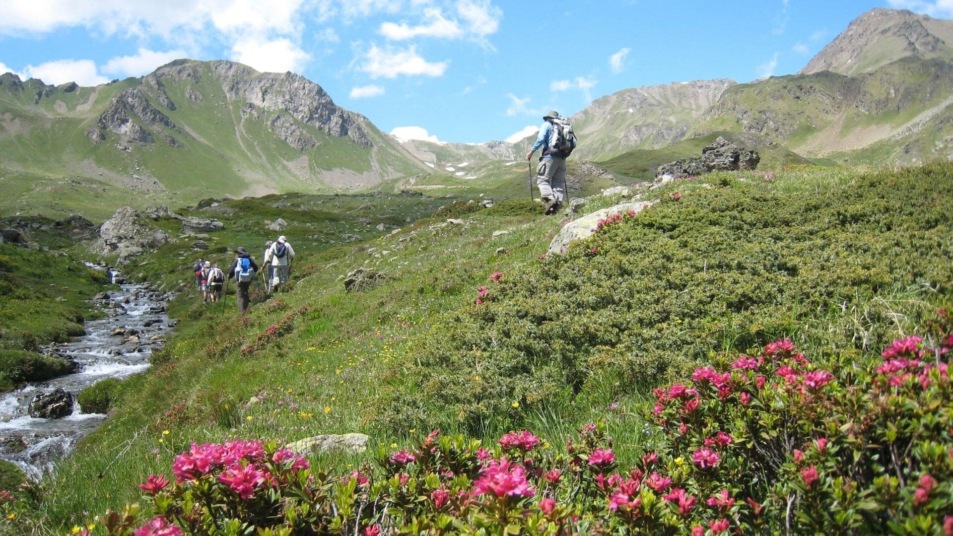 Trek - Italie : Tour du Grand Paradis