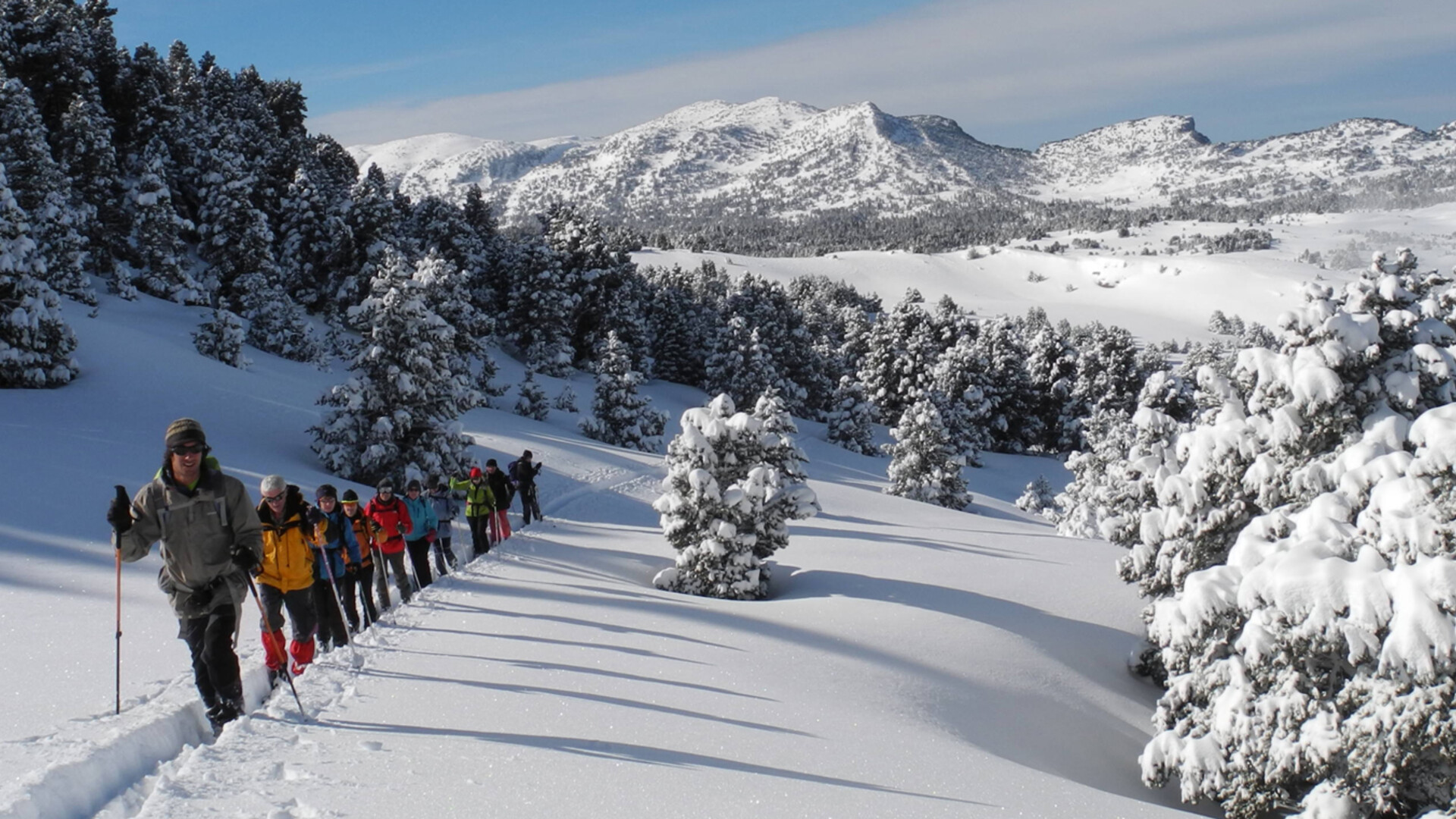 Groupe de randonneurs en raquettes dans le Vercors