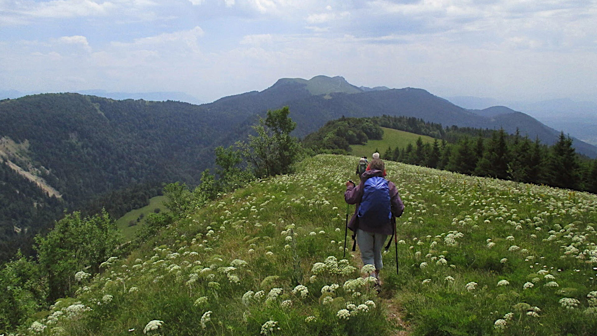 Randonneurs dans les montagnes fleuries du Jura