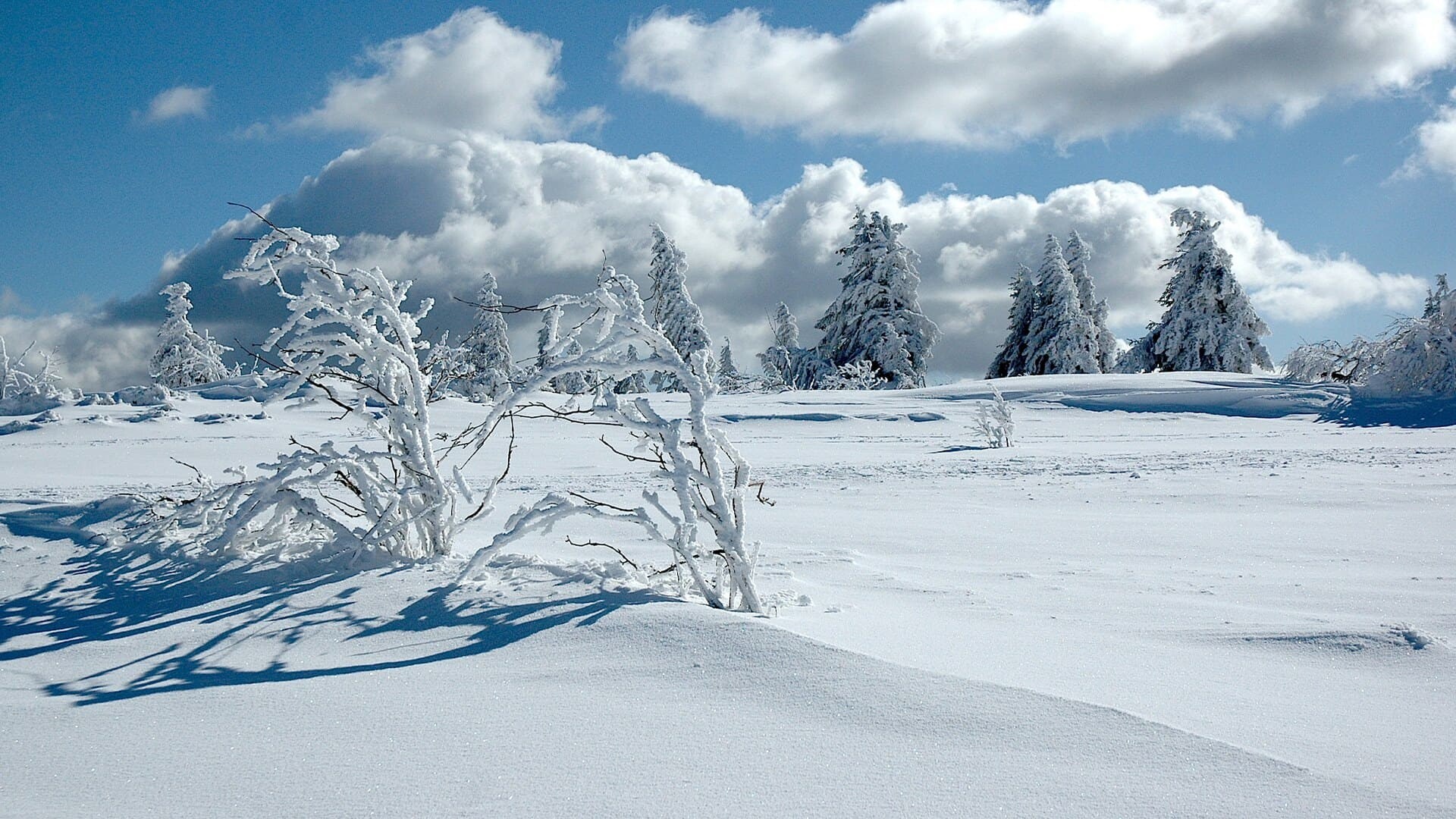 Lac Blanc gazon du faing © Sud Randos.jpeg