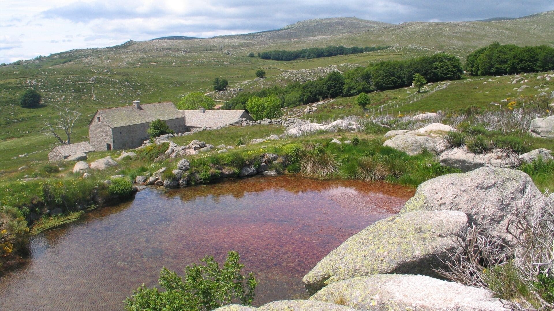 Chemin de Stevenson Nord guidé