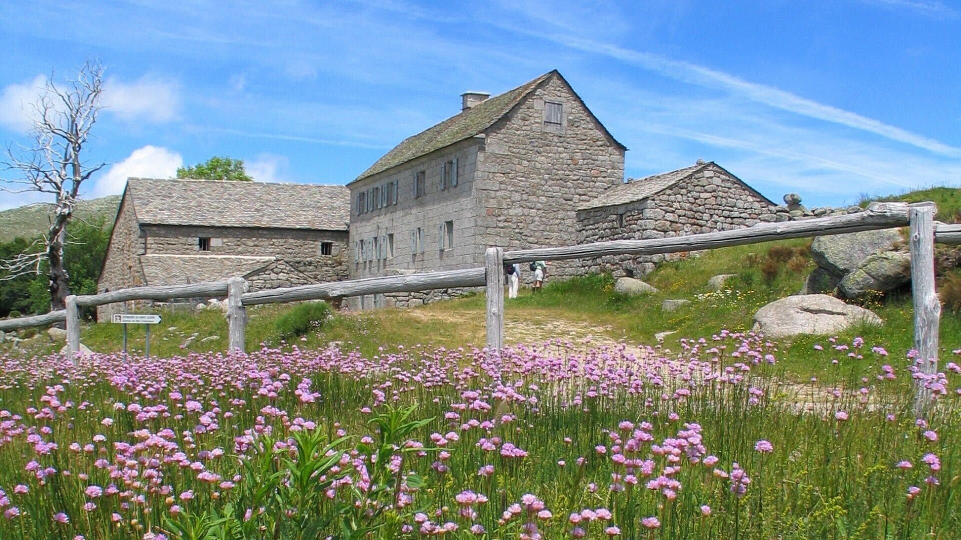 Trek - Le Chemin de Stevenson intégral en randonnée libertée