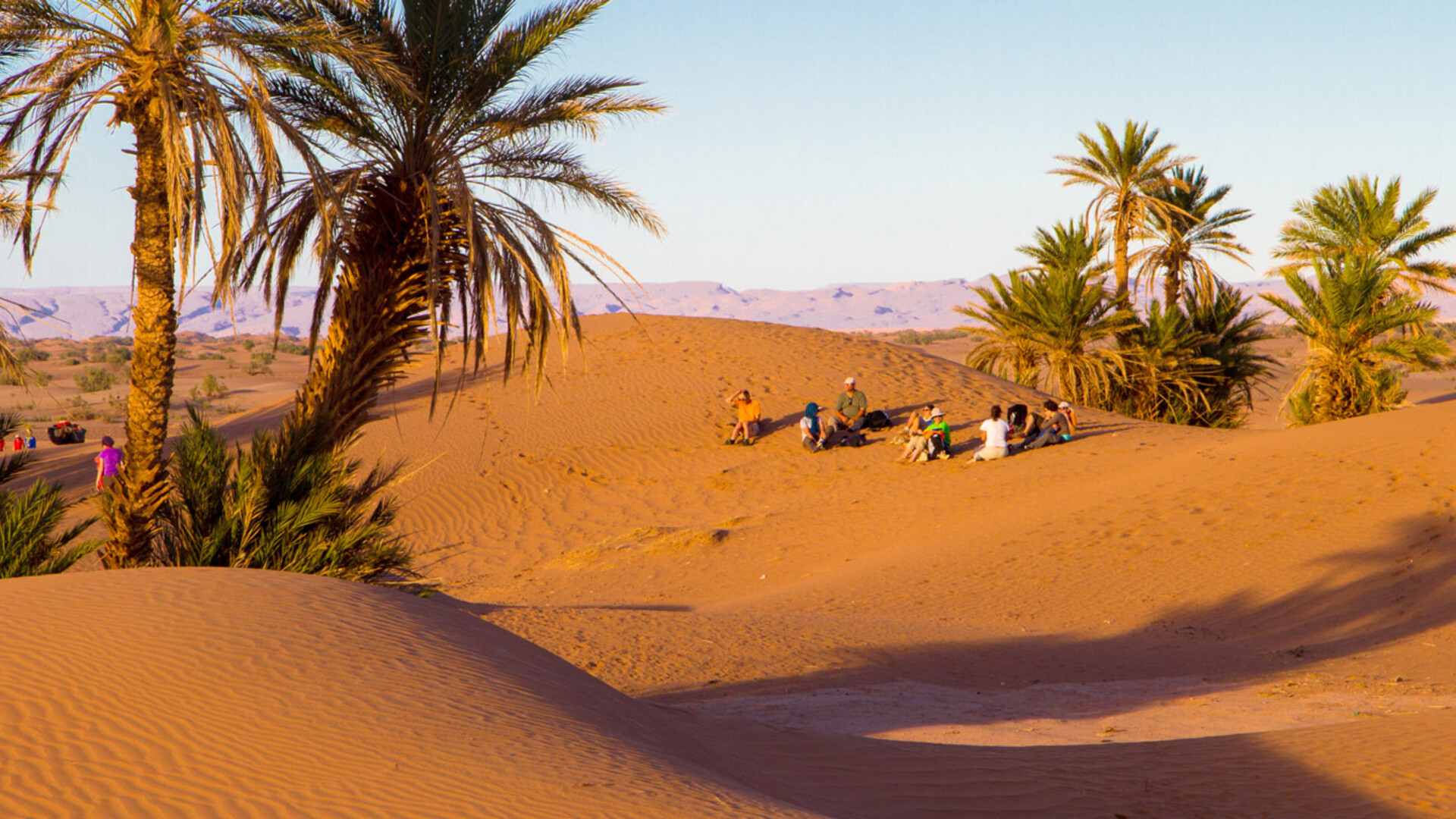 Trek - Dunes et Oasis du sud marocain