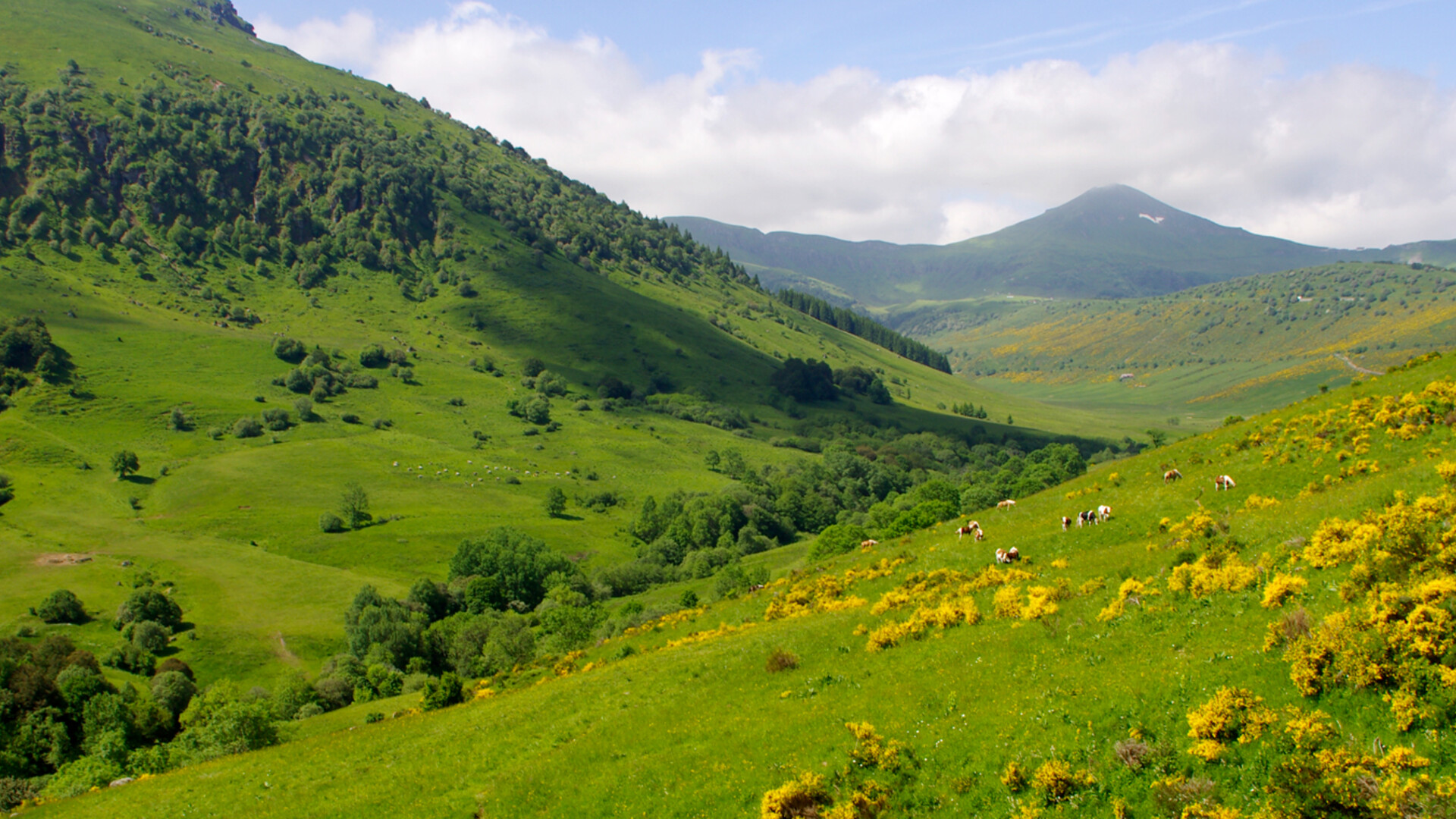 Trek - France : Séjour randonnée accompagné au cœur des volcans du Cantal