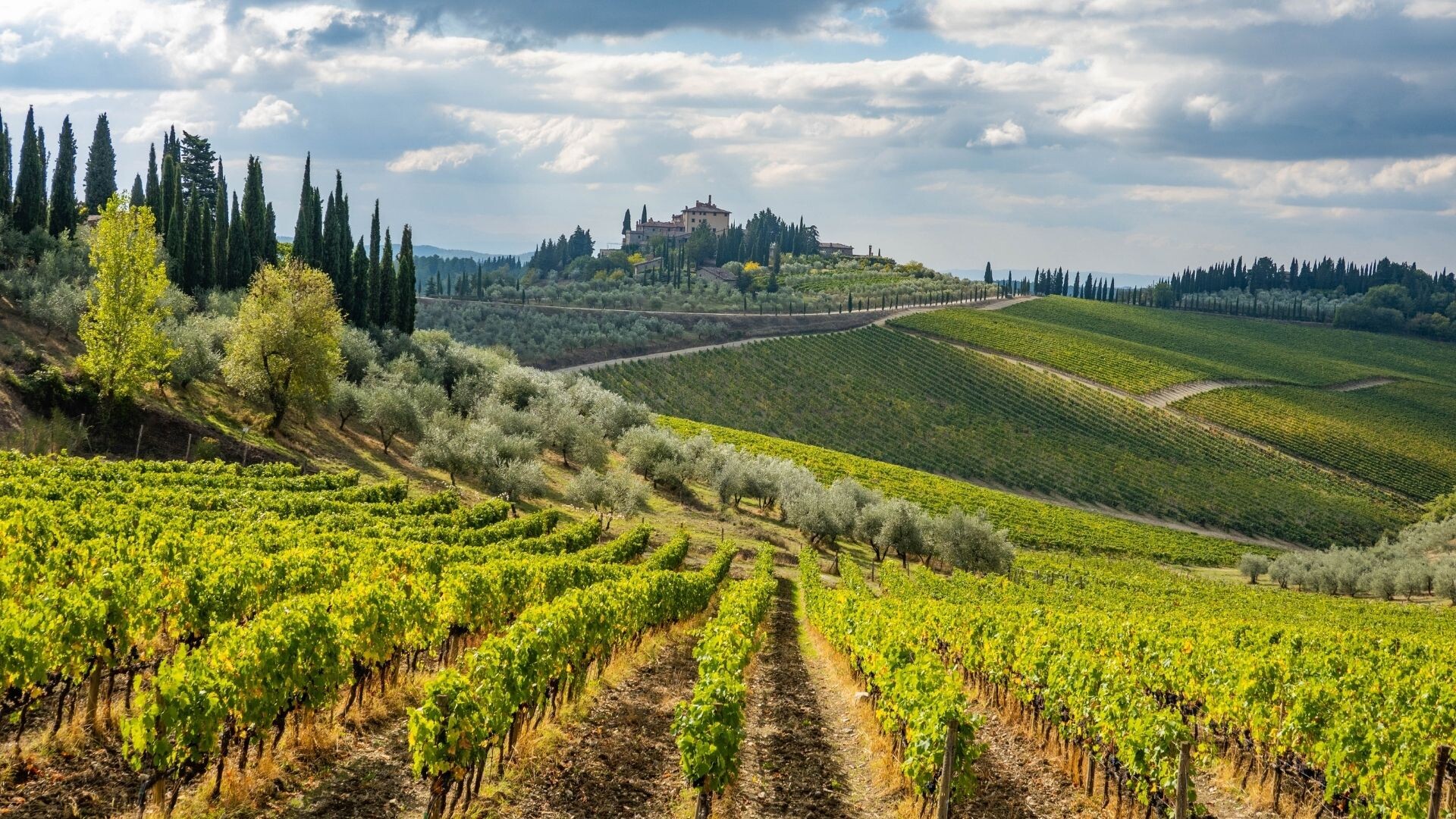 Voyage à vélo - A vélo à travers le Chianti: la route des vins de Florence à Sienne