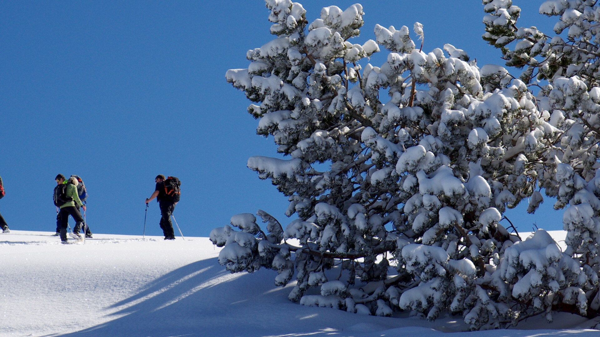 Randonnée liberté en raquettes sur l'alpage de la Molière dans le Vercors