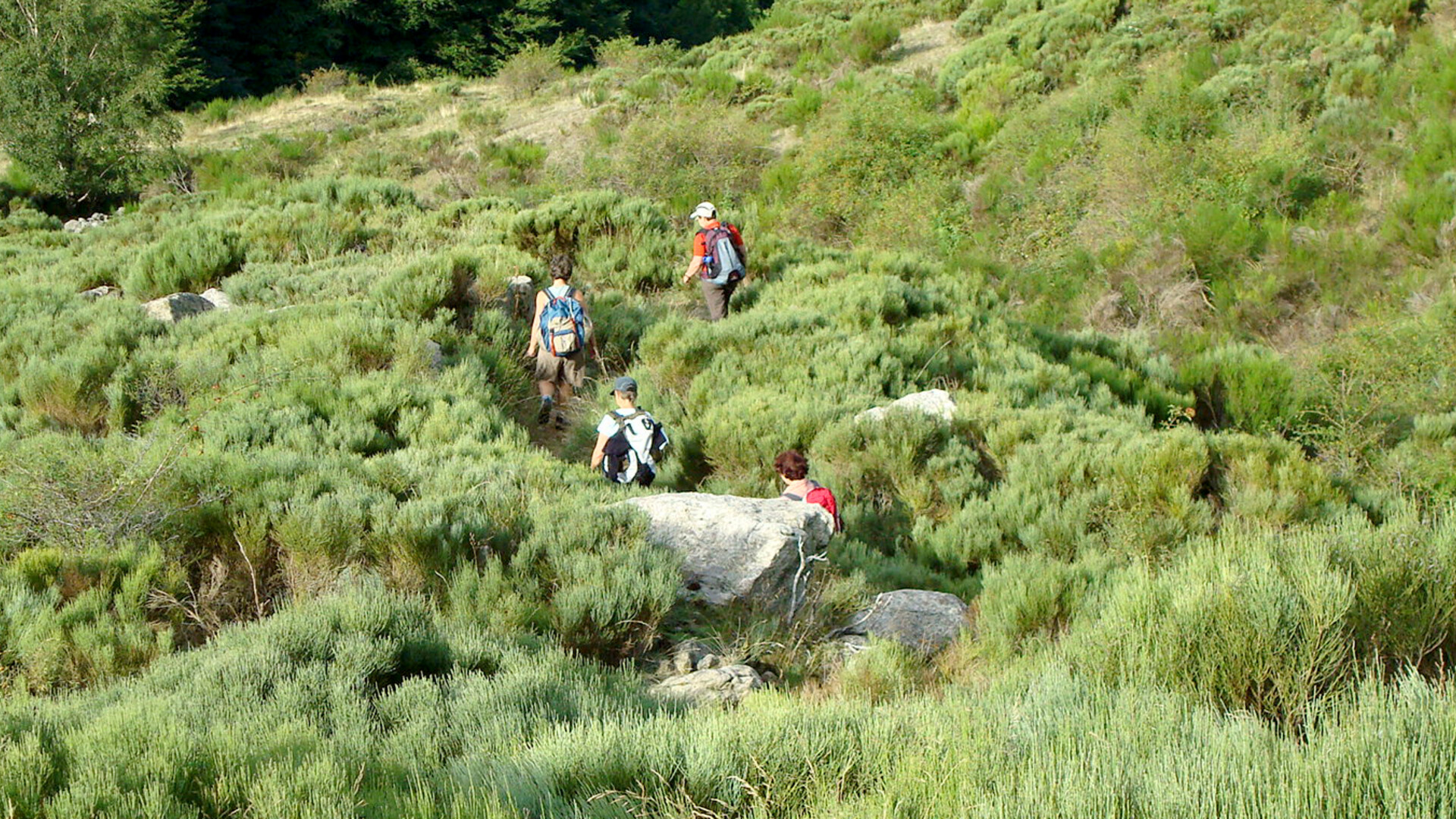 Trek - Parc naturel des Monts d\'Ardèche, Retrouvance®