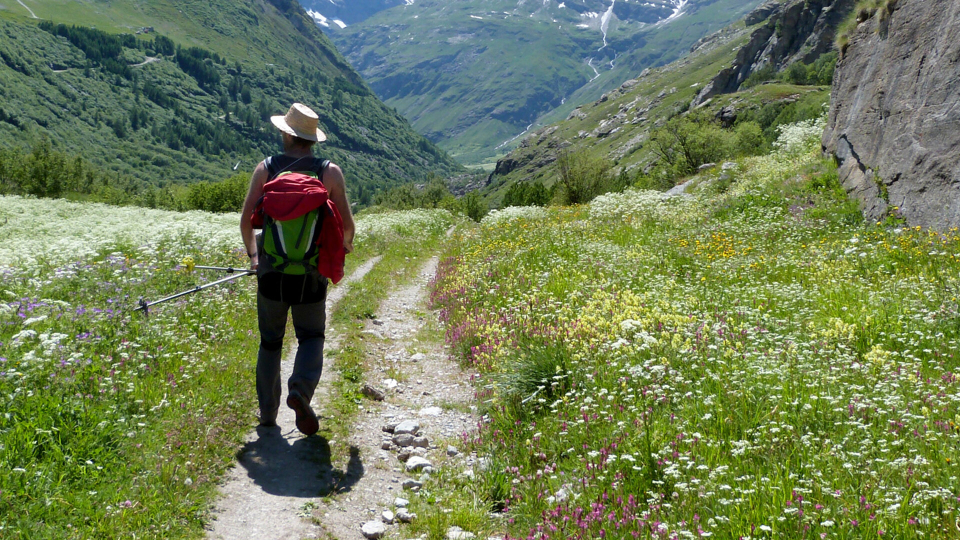 Voyage découverte - France : La Vanoise, entre vallées et glaciers