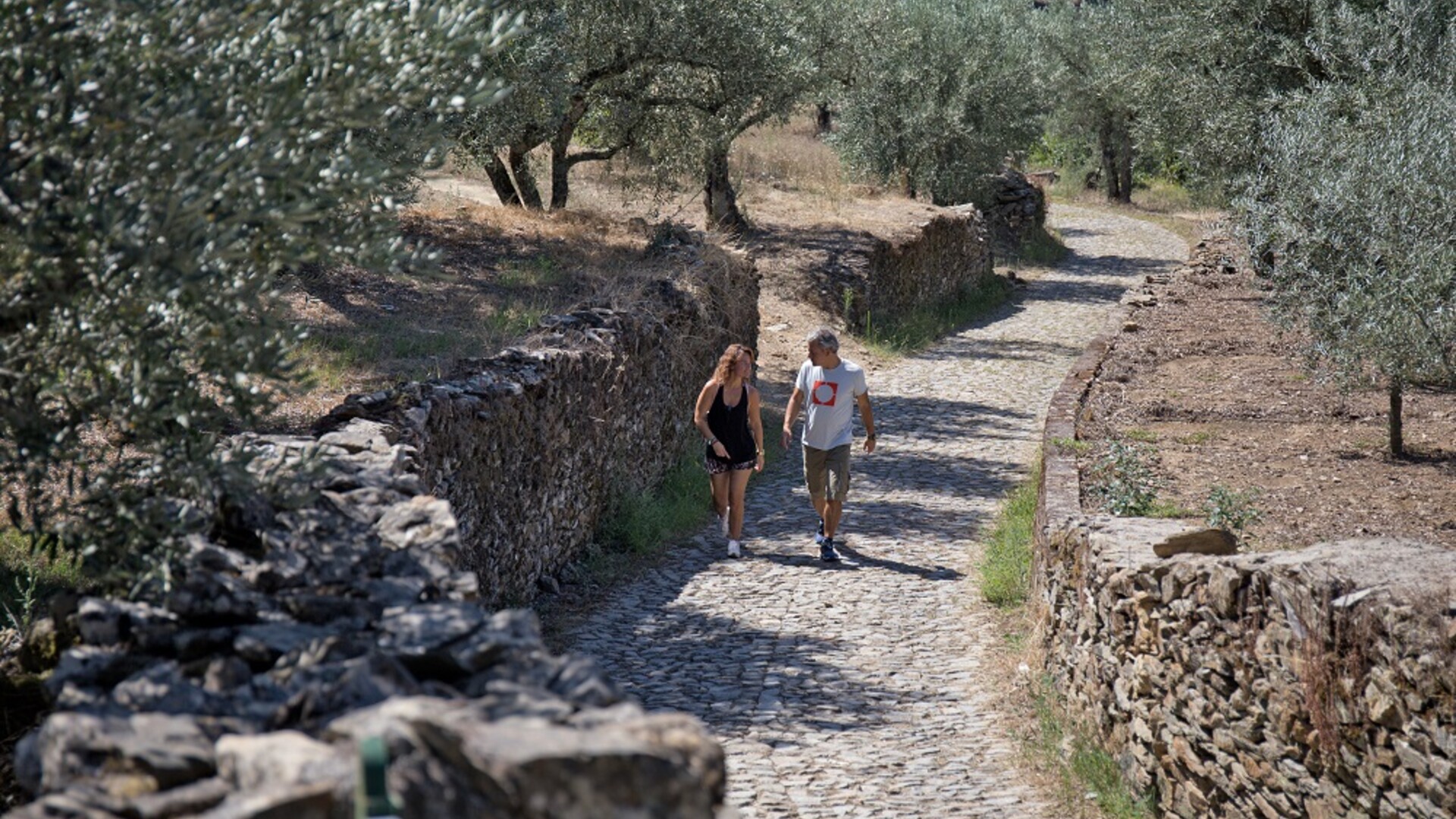Randonnée chemin de pierres vallée du Douro