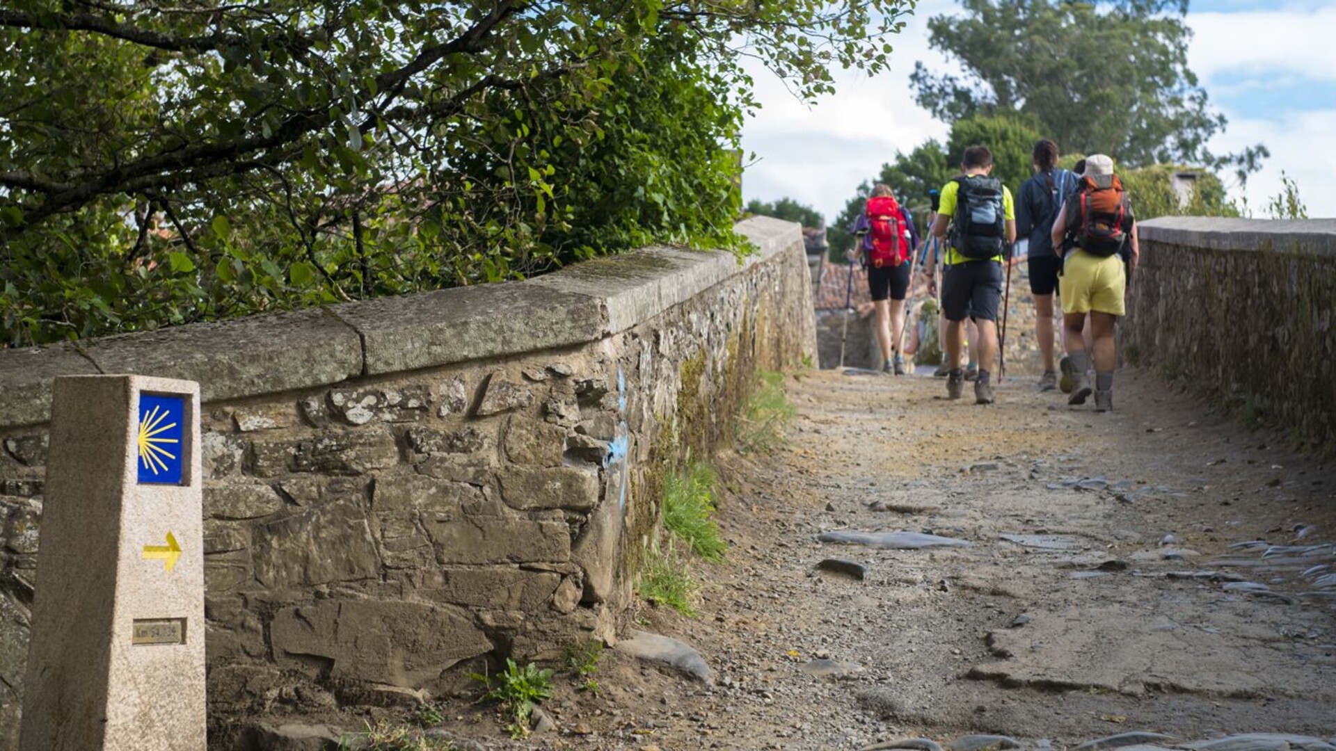 Chemin de St Jacques - Camino Frances  De Leon à Santiago