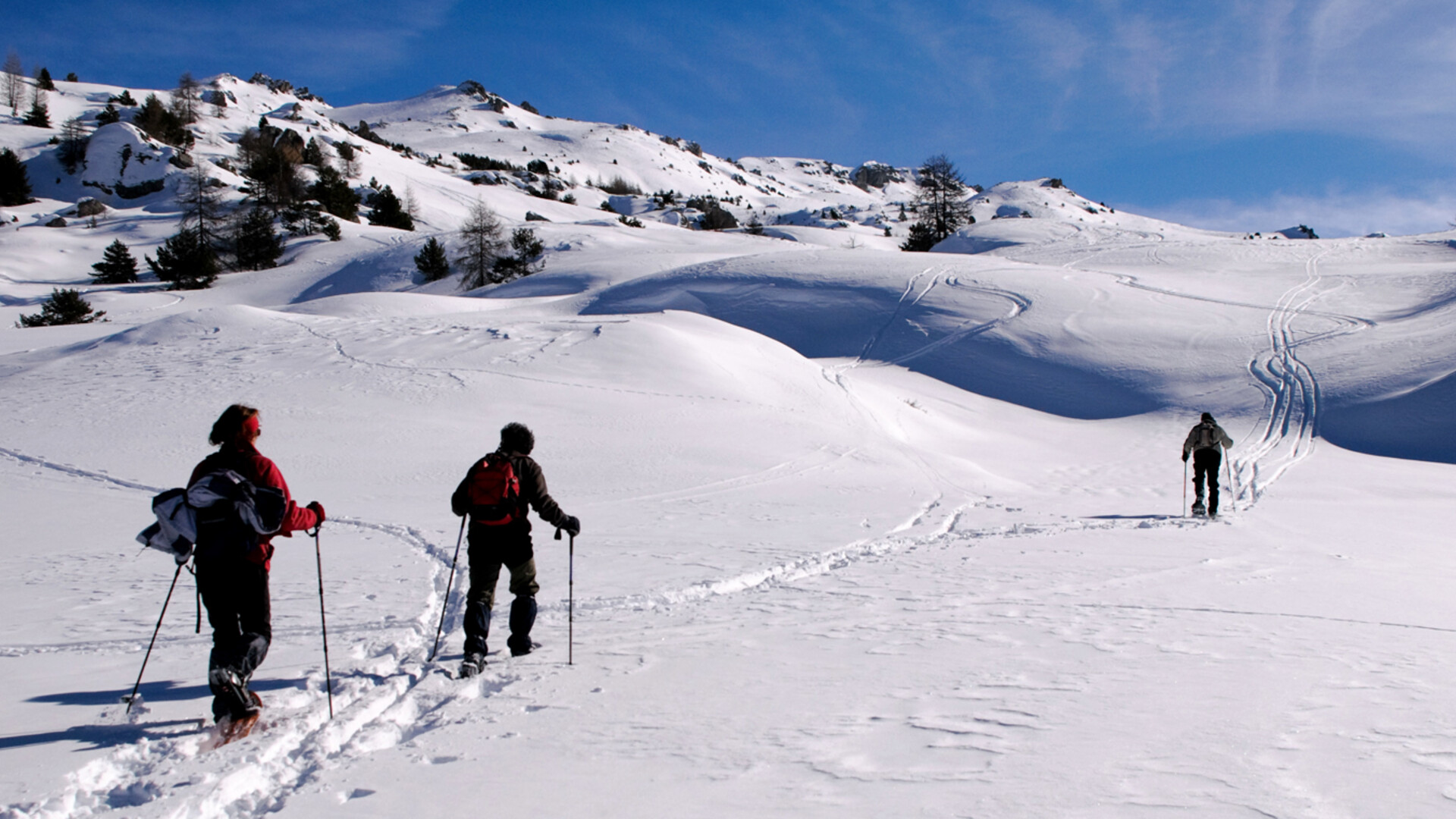 Réveillon Raquettes dans le Queyras