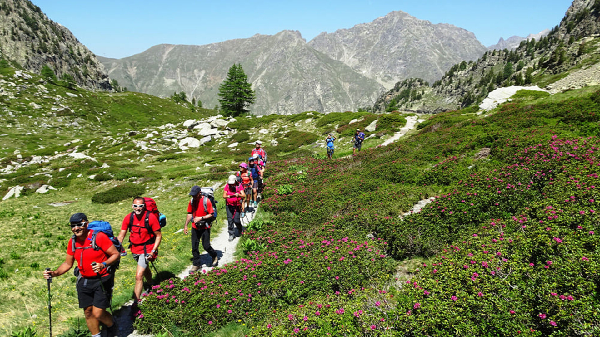 randonneurs tour du mercantour