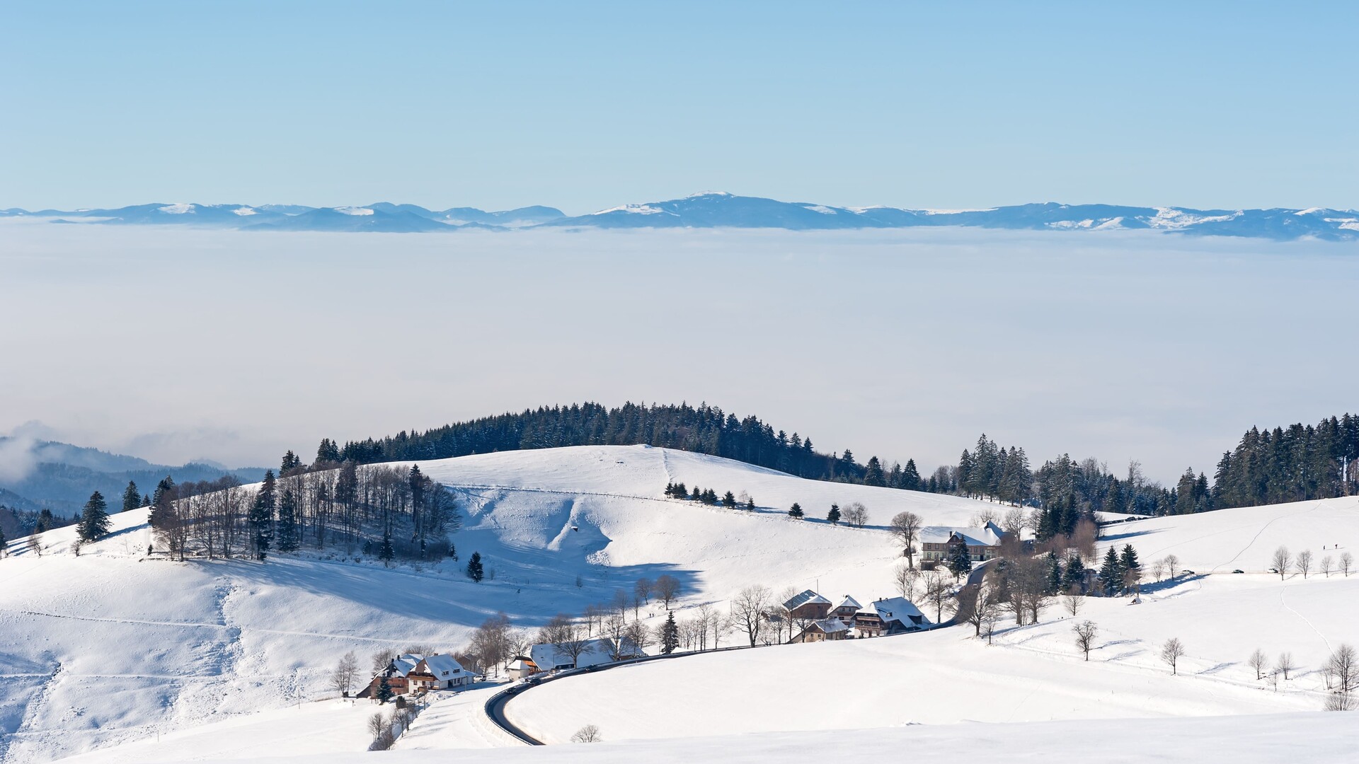 Paysage enneigé 