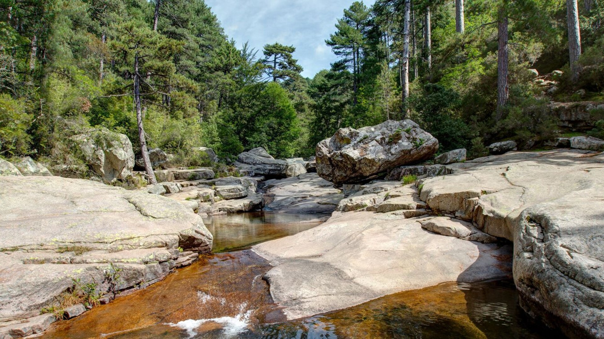 Ruisseau d'Aïtone près d'Évisa, Corse