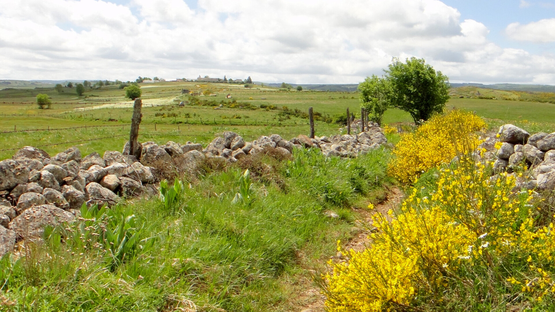  - Tour des Monts d\'Aubrac