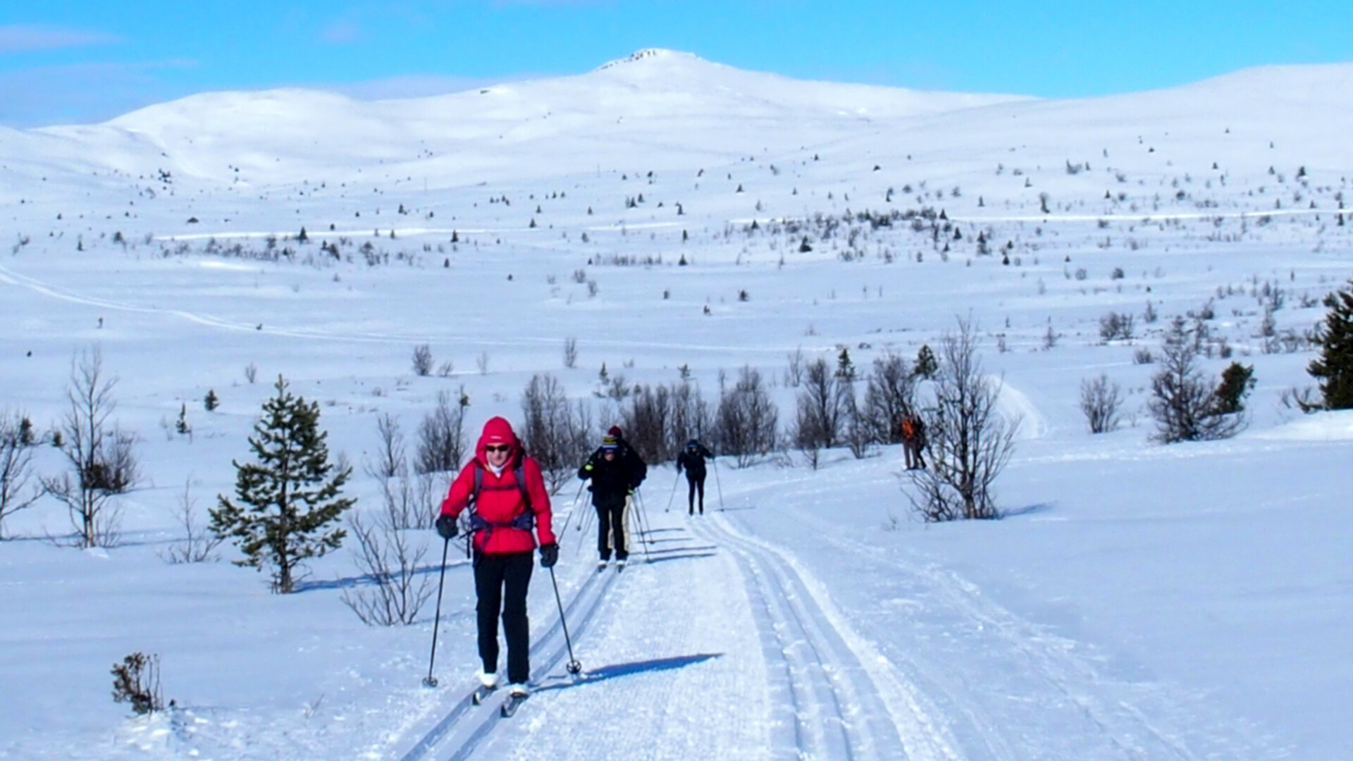 Randonnées et trek Galdhøpiggen