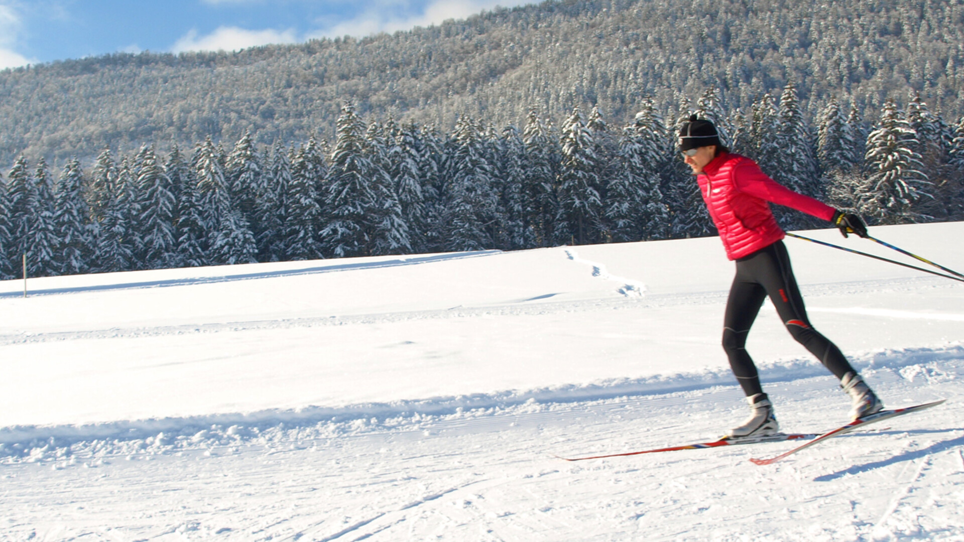 Ski de fond skating parc naturel régional du Vercors