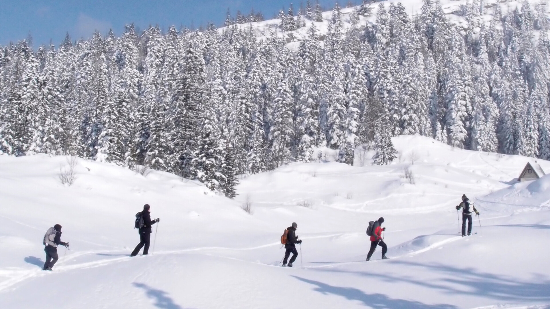 Ski de randonnée nordique sur les crêtes du Vercors Nord