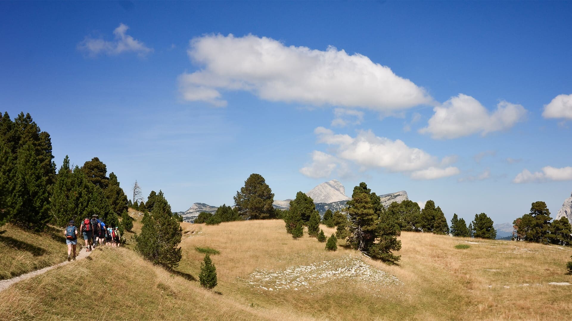 Sur les Hauts plateaux du vercors