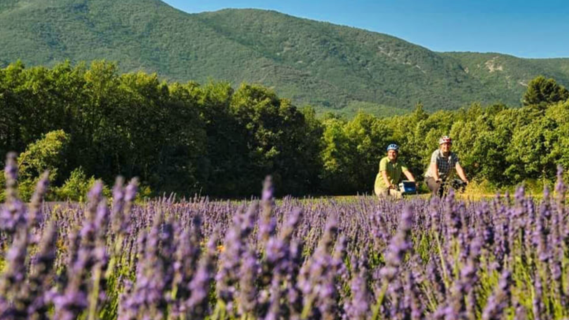 Provence Le Tour du Lubéron à vélo