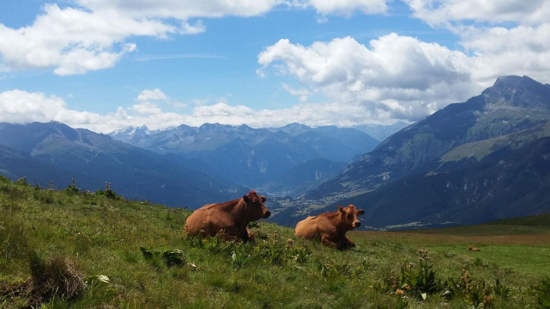 Trek - GR5 de Chamonix à Modane