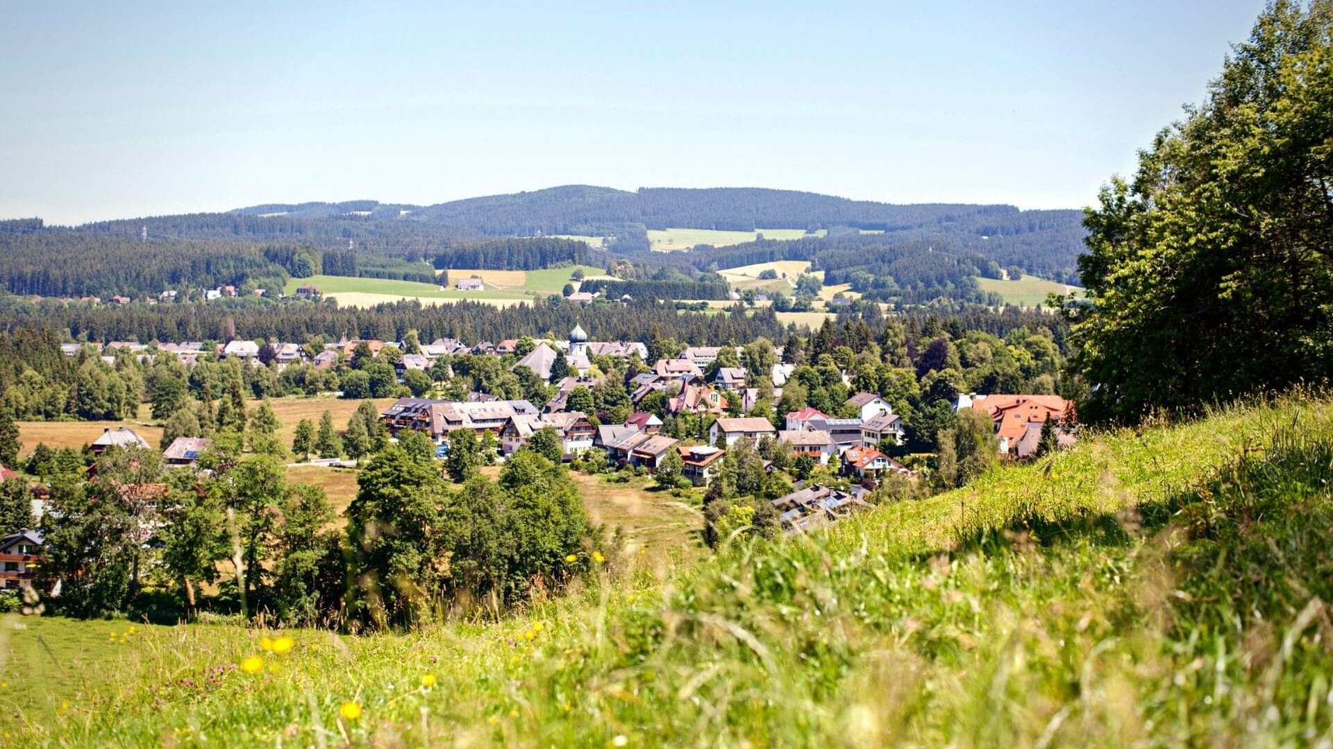 Randonnée autour de la Haute Forêt Noire