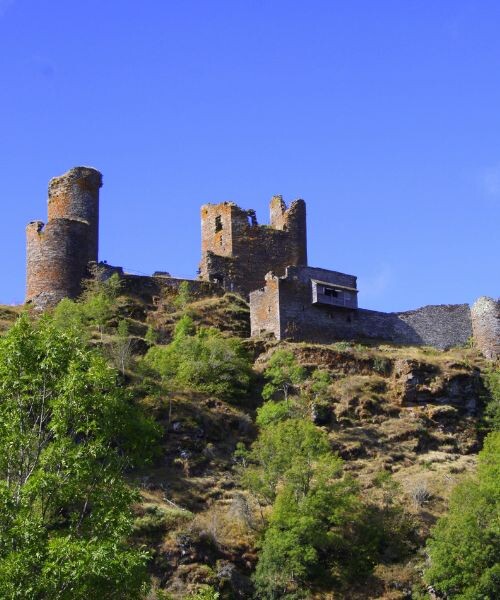 Château du Tournel à St-Julien d'Arpaon